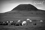 Slemish Mountain Slemish Mountain