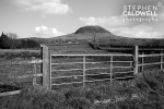 Slemish Gate